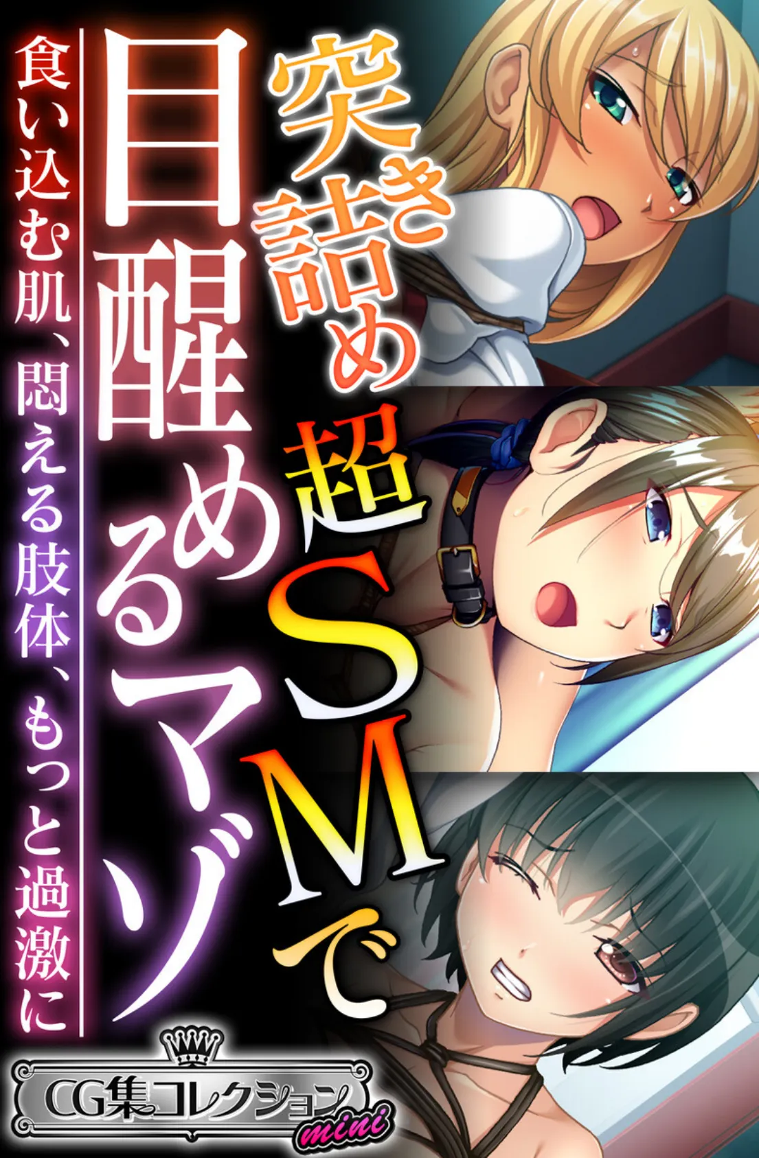 突き詰め超SMで目醒めるマゾ〜食い込む肌、悶える肢体、もっと過激に〜【CG集コレクション ミニ】