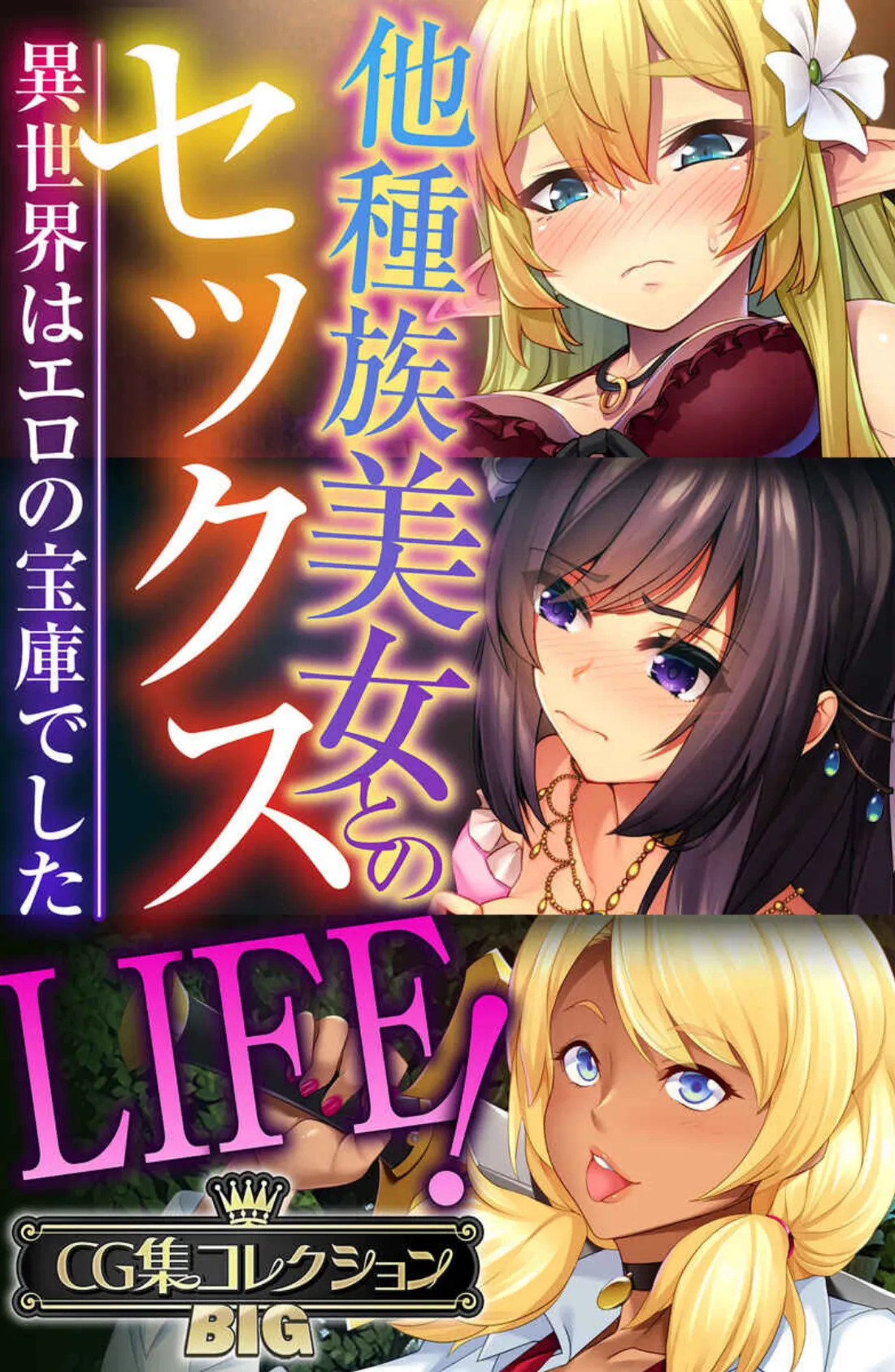 他種族美女とのセックスLIFE！ 〜異世界はエロの宝庫でした〜【CG集コレクションBIG】