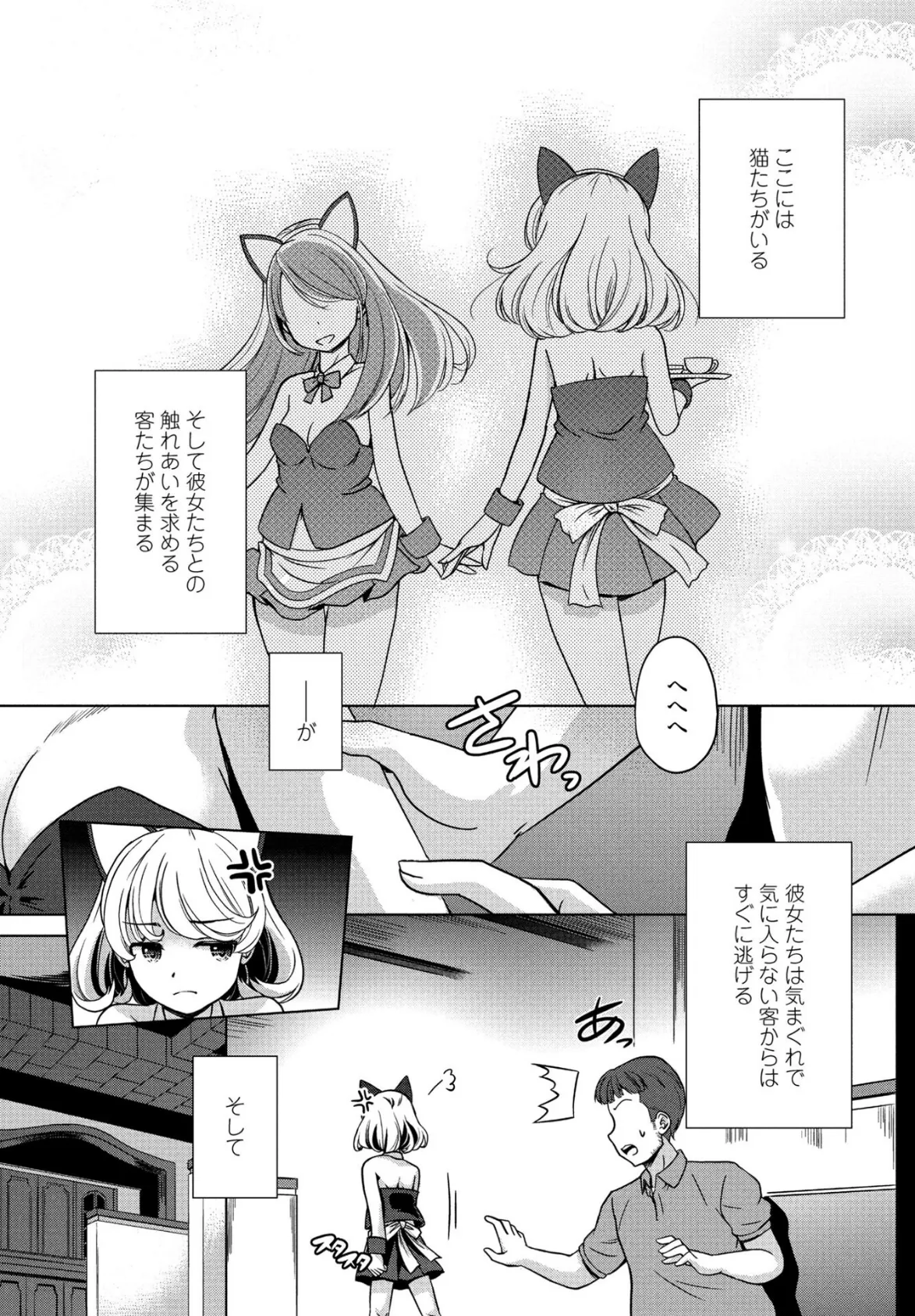 Cat garden2-リトルマスター