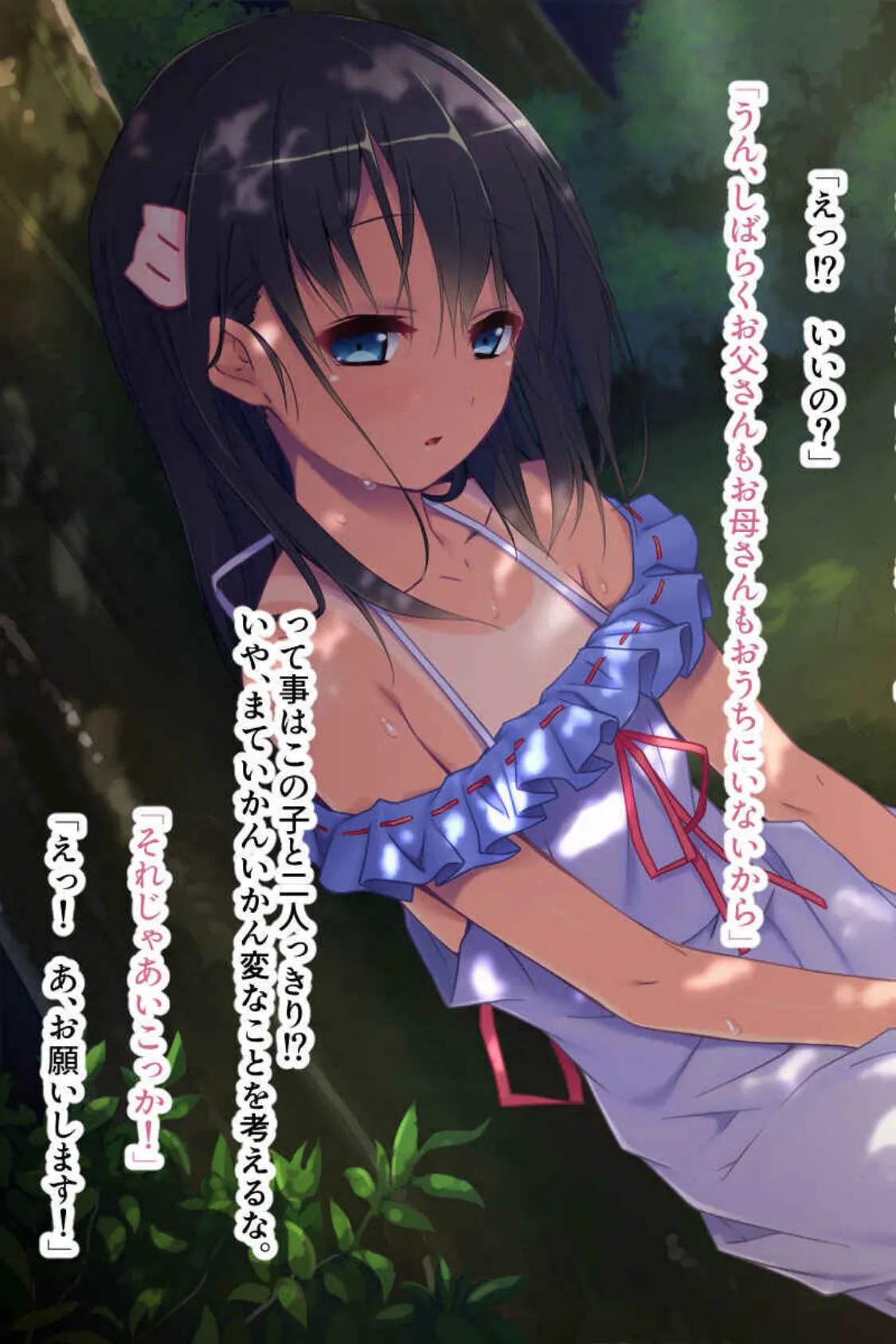 淫習に逆らえない乙女たち 〜田舎の夜は肉欲にまみれて〜【CG集コレクションBIG】 6ページ