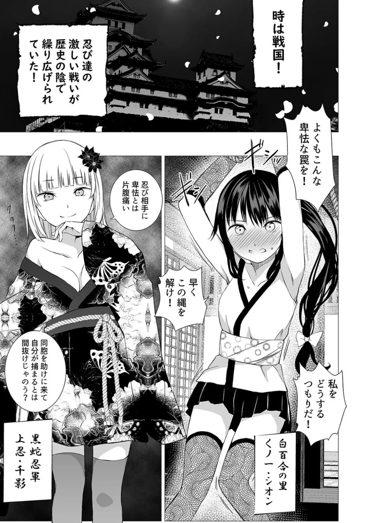 お忍び少女を囚えたら-陥落を誘う、淫らな熱-(1) 3ページ