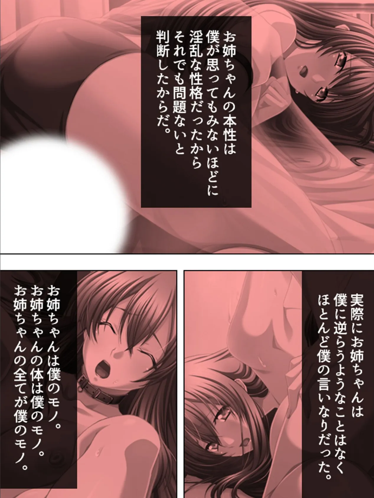 【新装版】姉弟相姦投稿日記 (単話) 最終話 5ページ